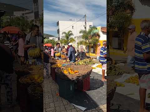 FEIRA  SANTA INÊS BAHIA #shorts #feira #santainês #bahia #cultura #turismo #entretenimento #alegria