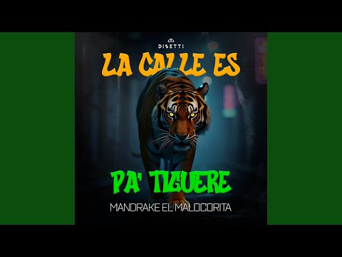 La Calle Es Pa' Tiguere