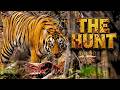 7 Tiger Sightings In 3 Safaris Deer Kill Wild TADOBA