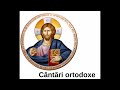 Cântări Ortodoxe Grupul Psaltic Nectarie Protopsaltul La Praznicul Marelui Mucenic Pantelimon