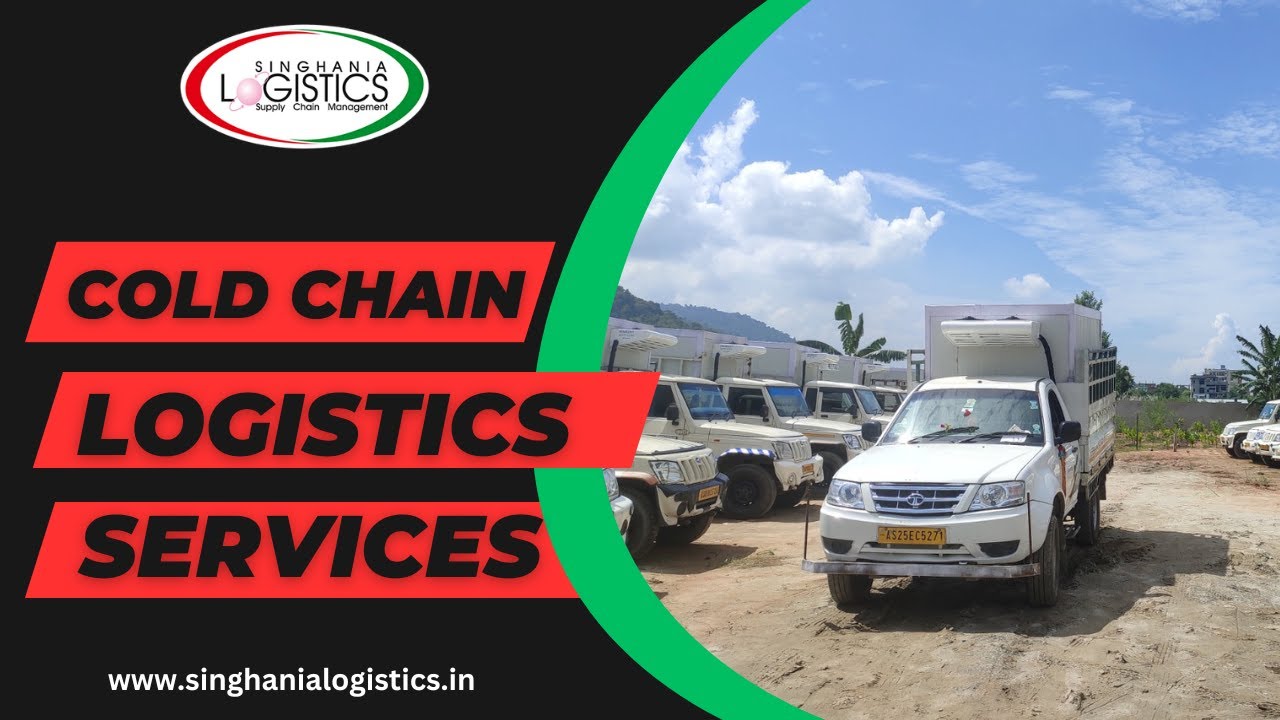 The best cold chain logistics services in Delhi NCR