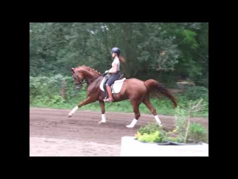 DI VERSACE 4j v. Dimaggio - Alabaster