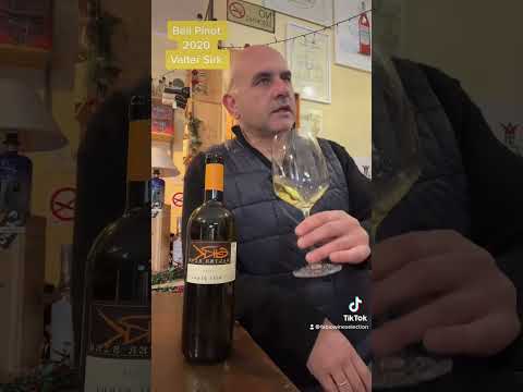 Beli Pinot 2020 ( Pinot bianco) Valter Sirk