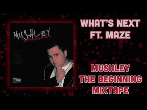 Mushley - What's Next Ft. Maze
