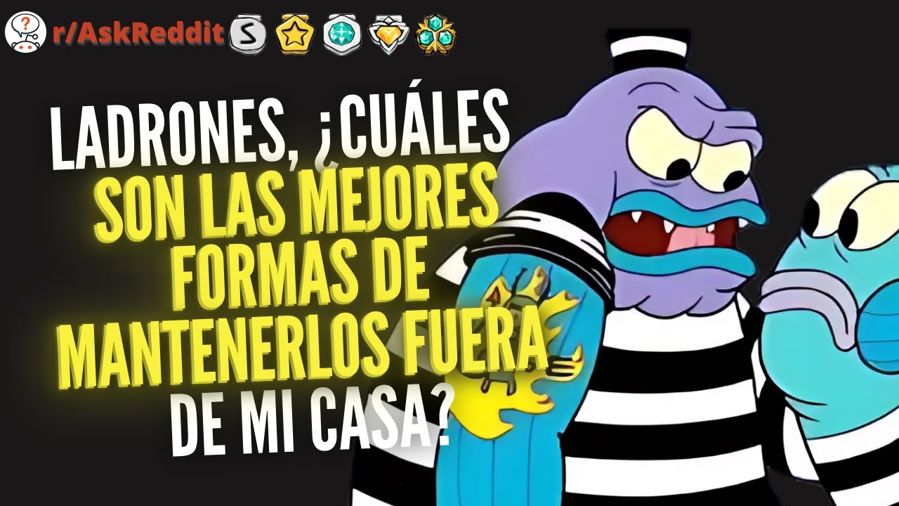 Ladrones, ¿Cuáles son las mejores formas de mantenerlos fuera de mi casa? - Reddit Pregunta