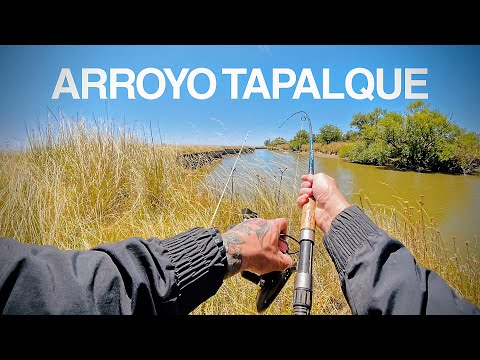 Tradición y PESCA en el campo: cocina de bagres frescos y asado a la orilla del arroyo Tapalqué