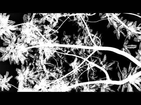 Sakdat & Balaur - Untitled99 v2 (Dance With Me Edit)