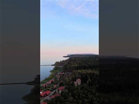 Juodkrante Coastal Evening Calm 🌅🌊 #Juodkrante #Lithuania #Shorts
