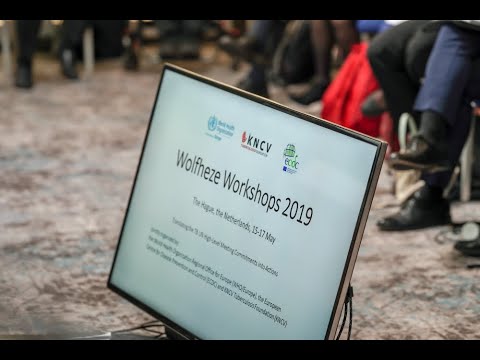 Translating the TB UN High-Level Meeting Commitments into Actions