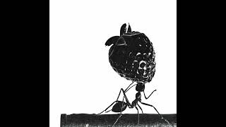 Gazzelle - Stammi bene