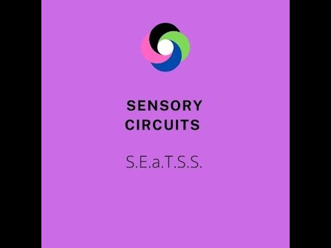 Screenshot of video: Sensory Circuits- A quick tutorial how to set these up at home and school