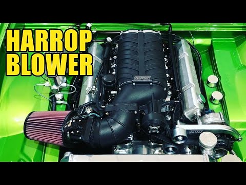 Carnage Episode 32 - LC GTR Torana Gets a Harrop Blower