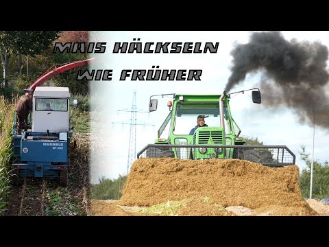 Mais häckseln wie früher 🚜 Alte Menegle & Deutz im Einsatz | Klassiker auf dem Feld!“