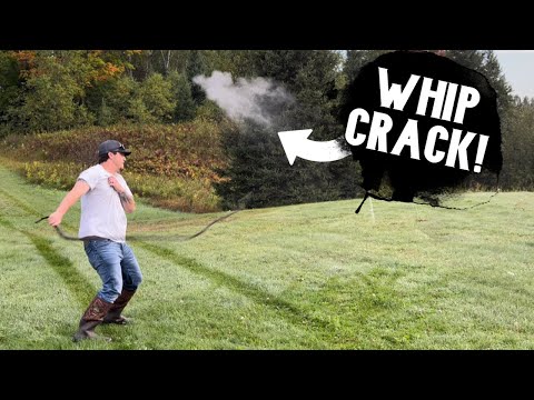LOUDEST WHIP CRACK EVER!