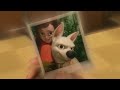 Chicken Little Bolt OST He Couldn T Have Gone Far