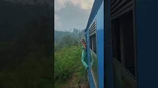 Train Travel #ella #srilanka #whatsappstatus #natu