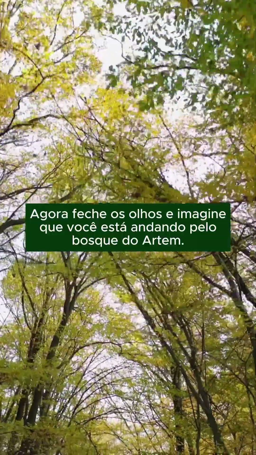 Feche os olhos e se imagine no bosque do Artem
