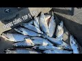 How to: SPRING COHO - 5 keys to success  - Lake Michigan