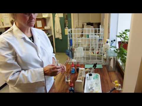 Tests for Biological Molecules "Food Tests"