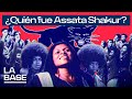 The Base 6x17 What Was The Black Panther Party