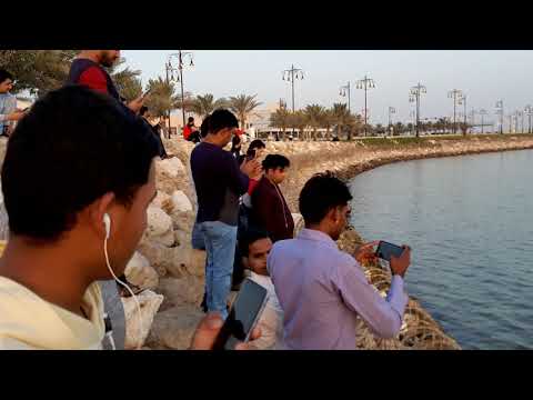 Bahrain beach shekh shamim