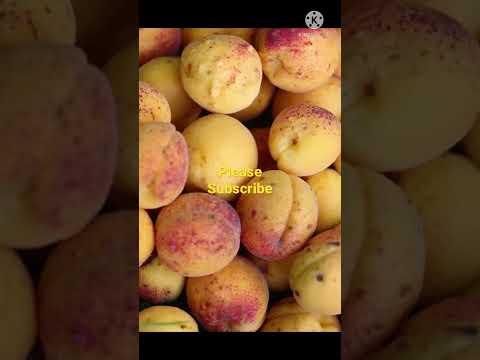 Fresh fruits//natural fruits//Vasanthi vantillu