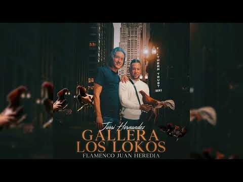 Jarri Hernández - Gallera Los Lokos "FT. Flamenco Juan Heredia"
