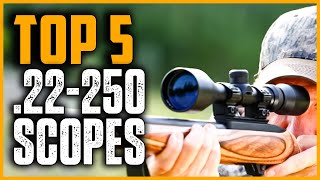 Best Scopes for .22-250 | Top 5 Best Scopes for .22-250 in 2024