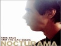 Nick  Cave And The Bad Seeds - Wonderful Life