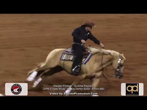 Andrea Fappani on Starjac Vintage - NRHA Derby 2022 Oklahoma - Level 4 Open Final -- Score 220
