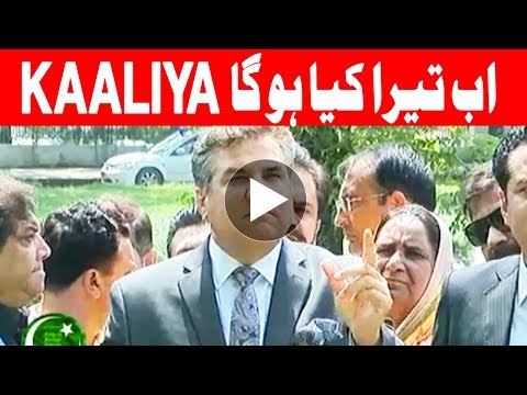 Nawaz Sharif is Clear now from everything - Daniyal Aziz