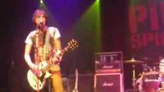 the pink spiders - still three shy