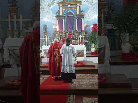 missa de domingo de Ramos na paróquia de Nossa Senhora do Carmo piracuruca Piauí