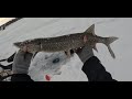 Video Thumbnail for Outside Pike Fishin'