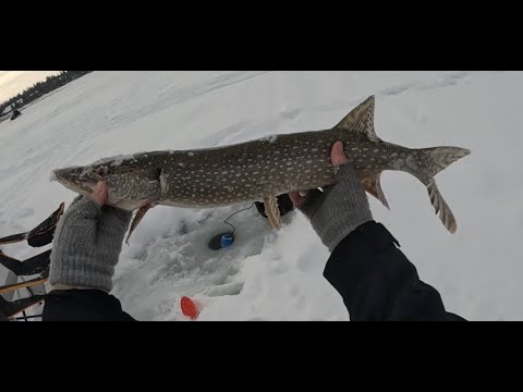 Outside Pike Fishin'