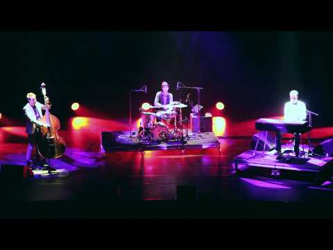 Little Collin - live at Olympia, Paris (2014) - teaser
