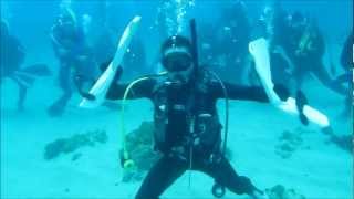 preview picture of video 'Harlem Shake of Scuba Diving by STU Professional Aquatic Team.'