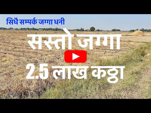2.5 Lakh Katha | Sasto Nambari Jagga | Cheap | Land For Sale | Hamrobazar | bhubanthapa| Real Estate