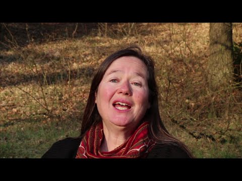 Song of the Day #11 - Ruf der Erde