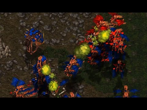 Effort 🇰🇷 (Z) vs Jaedong 🇰🇷 (Z) on Neo Sylphid - StarCraft - Brood War