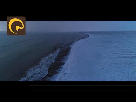 "Миний эх орон" симфоний хэсгээс | Зураглал | Увс аймагт 70 хоног | Бидний цөөхөн Монголчууд | 2020