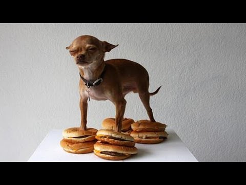 09. Kuba Knap - Proponuję życie gościnnie Bleiz, Zioło, Mada, Dj. Prox - Bez nerwów, bez złudzeń