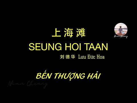 Bến Thượng Hải • Andy Lau 刘德华 Lưu Đức Hoa • 上海滩【PinyinLyrics/动态歌词/Vietsub】