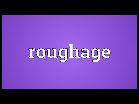 Roughage Meaning