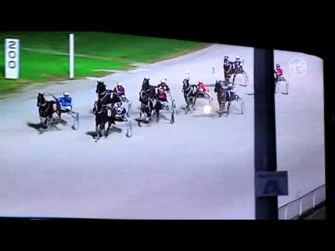 itsgrego Couch Calling   Alex Park   Race 8 - Cyamach