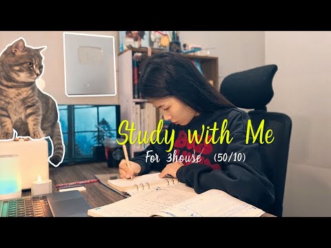 Study With Me 4K | 5 Hours of Productivity with Pomodoro (50/10) & Gentle Rain - Cat cute
