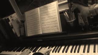 The Plunderers by Roger Limb