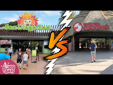 image-Is the San Diego Zoo unethical?