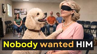 Why You Should LET Shelter Dogs CHOOSE Their Families?