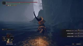 ELDEN RING:DLC#11